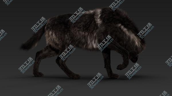 images/goods_img/20210312/Black Timber Wolf (Fur) Rigged model/5.jpg